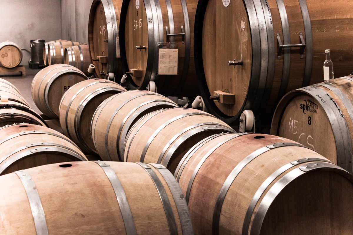 Guida Slow Wine: 10 ottimi vini sotto i 30 euro da provare